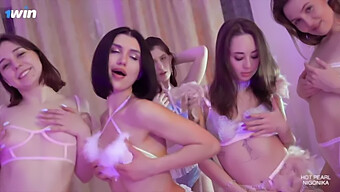 Απολαμβάνω Το Ομαδικό Σεξ: Flamingo Orgy4 Με Τη Nigonika Του 1winporn Σε Μια Σκληροπυρηνική Συνεδρία