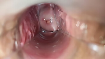 Intense Pleasure Reaches Climax Inside Vagina